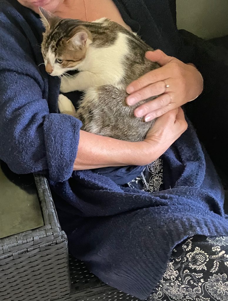 Gus